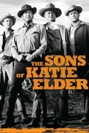 The Sons of Katie Elder altyazılı izle